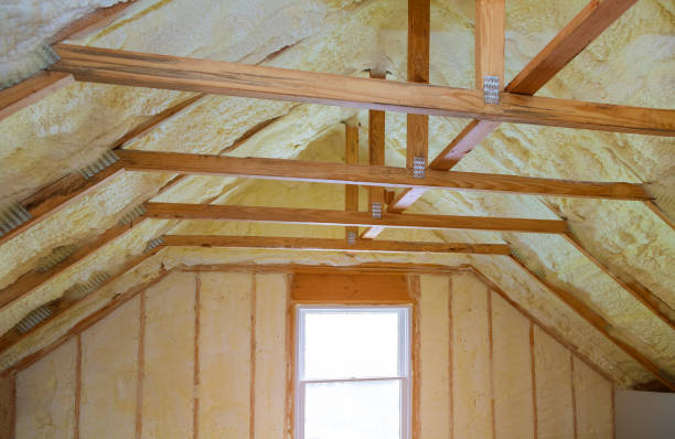 Best Insulation Replacement Services  in Poteet, TX