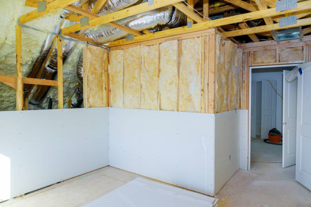 Insulation Replacement Services in Poteet, TX